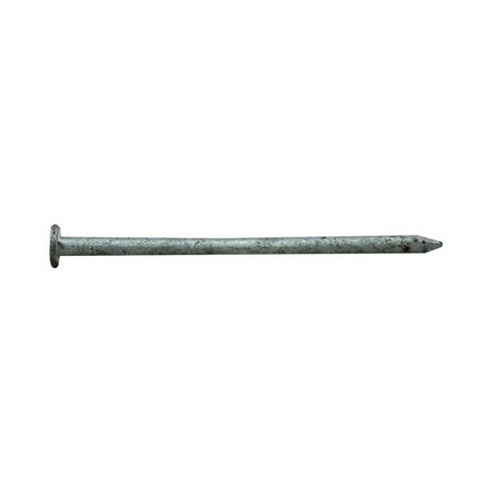 PRO-FIT Common Nail, 3-1/4 in L, 12D 0054185